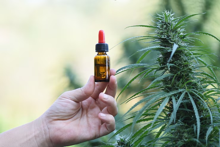 Your Complete Guide to Buying CBD Oil in Canada